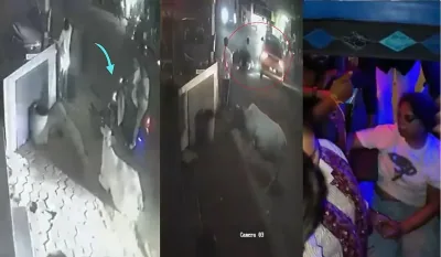 ग्वालियर के चेतकपुरी में तेज रफ्तार बेकाबू कार ने गाय को चारा दे रहे दंपति को रौंदा, महिला दिल्ली रेफर
