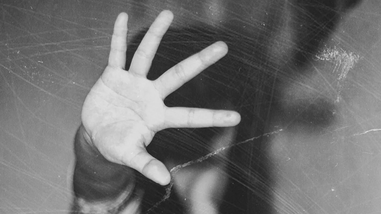 Mumbai Child Assault: 7-Year-Old Girl Victim of Brutal Attack by Watchman in Pydhonie
