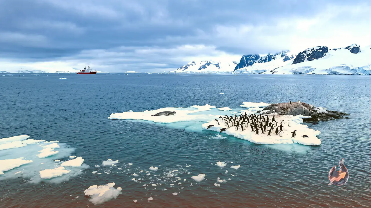 No Sea Ice in June: West Antarctica's Bellingshausen Sea Leaves Scientists Alarmed