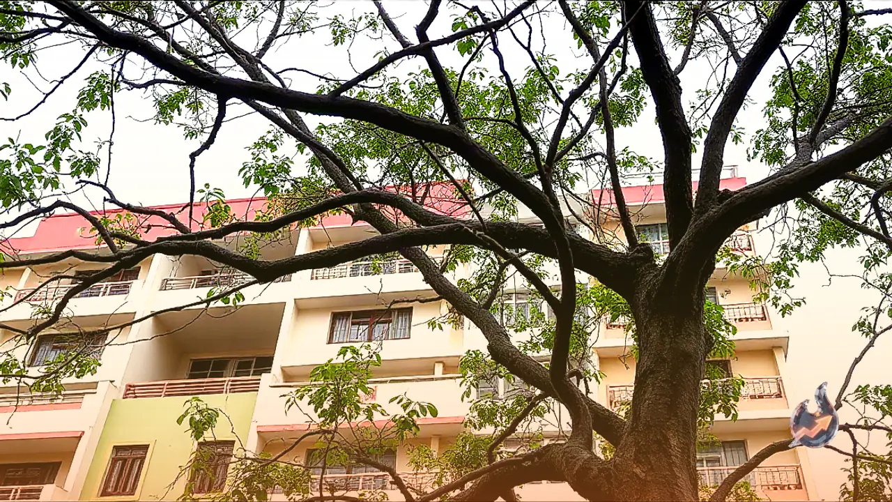 Woman Survives Fall From 10th Floor of Mumbai Building After Catching Tree Branches in Bhandup