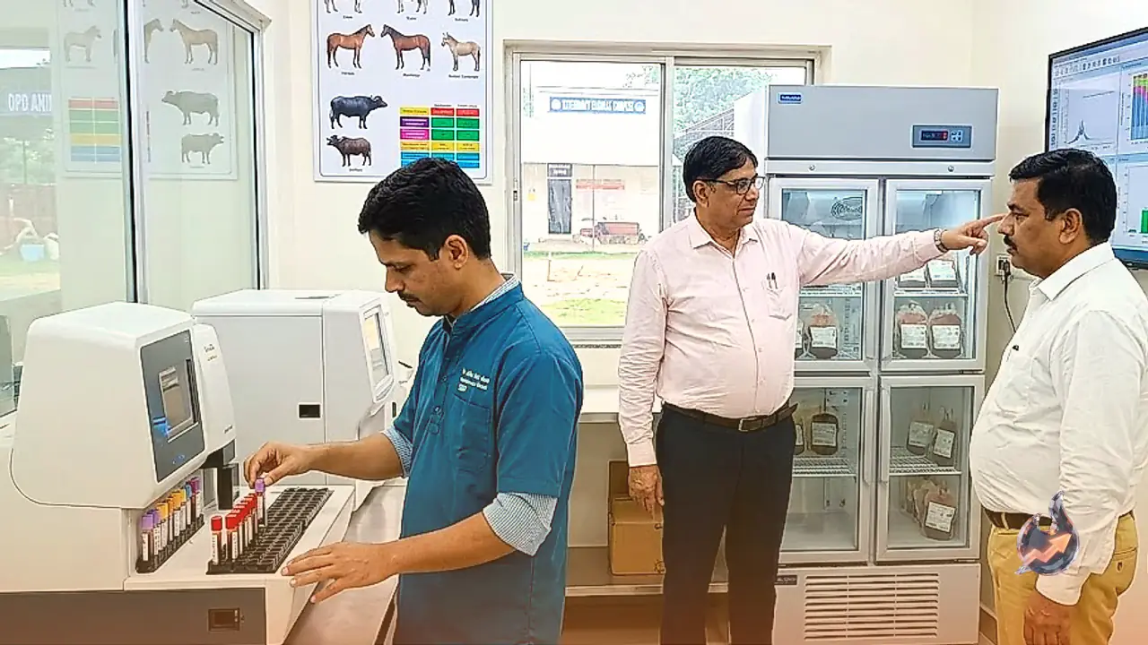 Bihar's Veterinary College Is Building India's Biggest Blood Bank for Animals in Patna