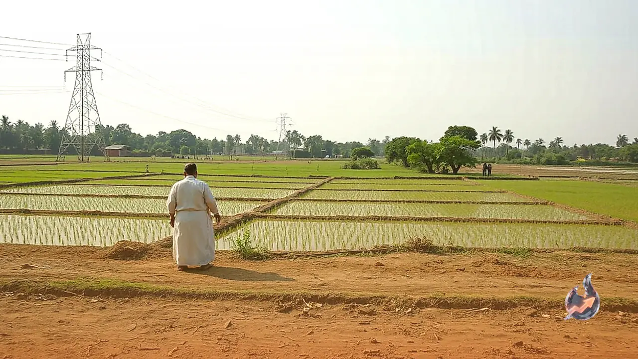Bizarre Power Theft Case in Assam, New Refrigerator Hidden in Paddy Field