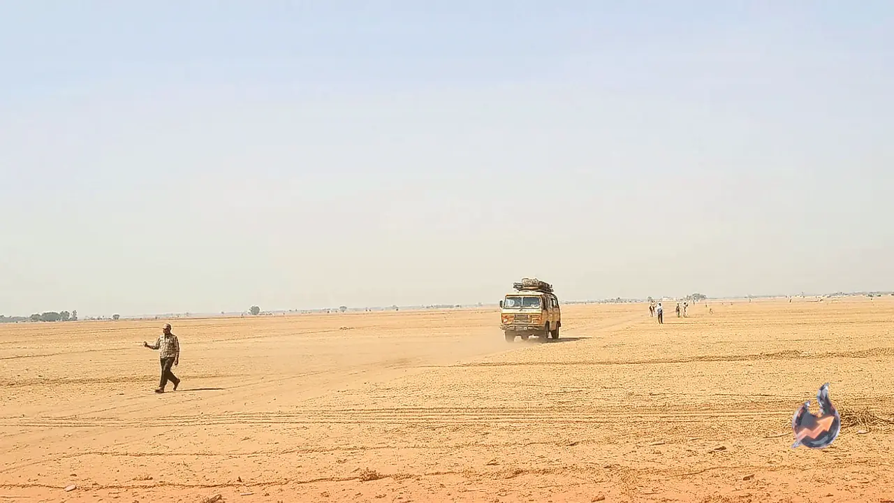 पश्चिमी राजस्थान में बारिश पर ब्रेक से खरीफ तबाह, रबी की फसलों पर सूखा संकट देख कृषि विशेषज्ञों ने सुझाए विकल्प