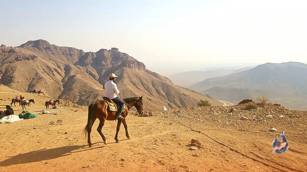 Enjoy Horse Riding in Mount Abu Starting at 150 Rupees, Know Where to Find Them