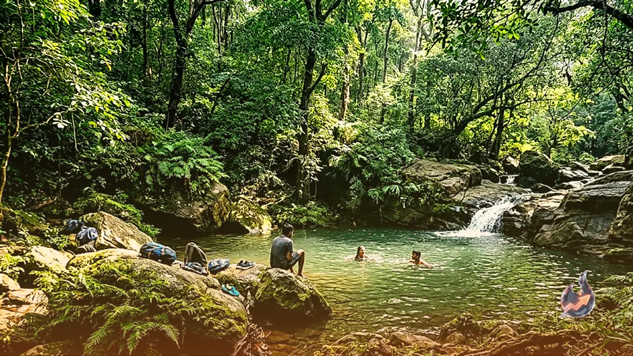 Hidden Natural Swimming Pool Deep Inside Ranchi Forests Rivals Major Hill Stations