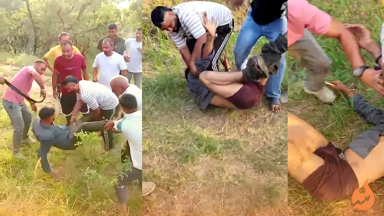 Three Youths Caught Using Chitta in Himachal's Triphalghat, Villagers Strip and Thrash Them With Belts — 16 Sachets Sold at Rs 500 Each, Video Goes Viral