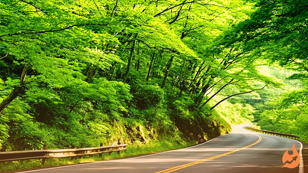 Skip Chakai, Take the Khaira Route: This Forest Road Cuts the Jamui–Giridih Trip by 50 km and Throws in Stunning Views