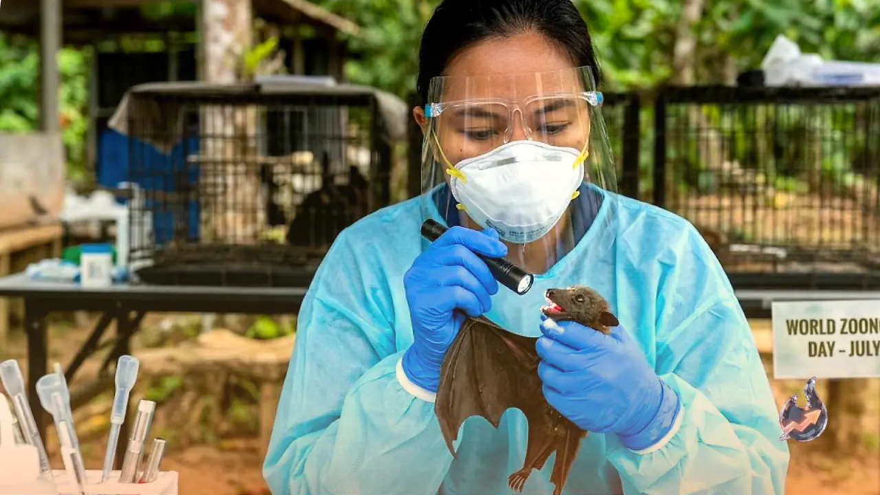 Why doctors want you to watch for these animal linked infections every July 6