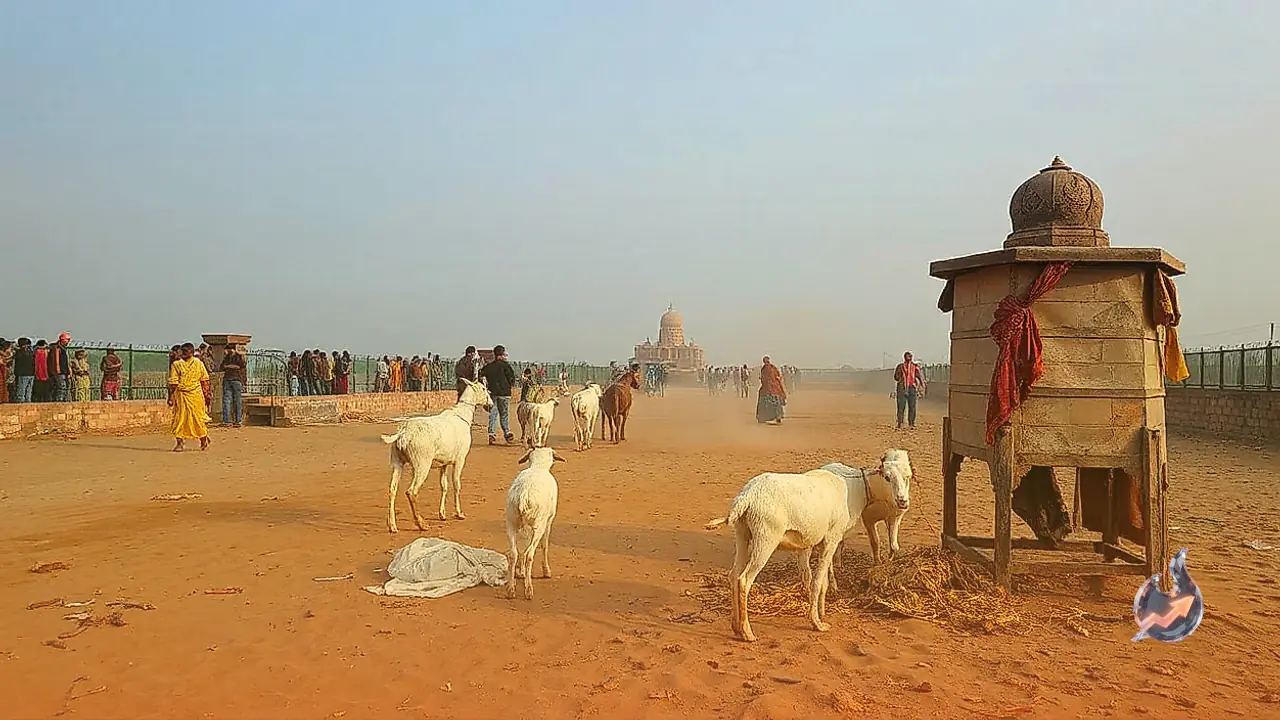 Mysterious Nisha Jatra Ritual Concluded in Bastar Dussehra With Sacrifice of 11 Goats