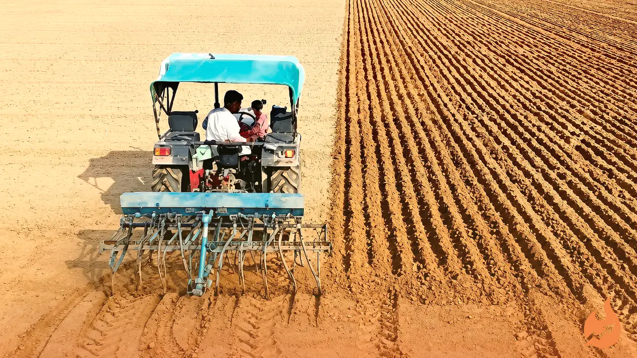 Early Rains Turn Lucky for Nagaur Farmers: Sowing Crosses 2 Lakh Hectares Before Season Even Begins