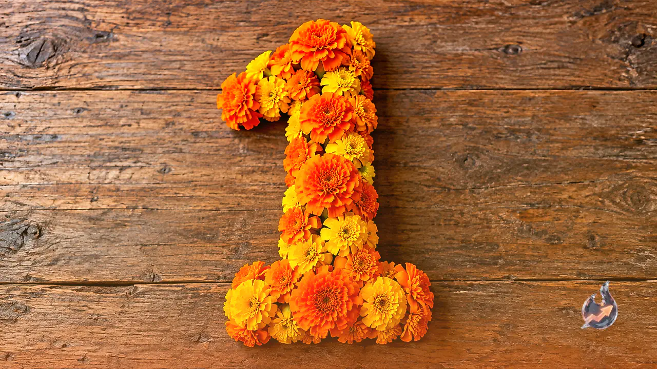 Numerology 1 Horoscope 30 October: Exercise Caution in Financial Transactions and Embrace Flexibility in Relationships