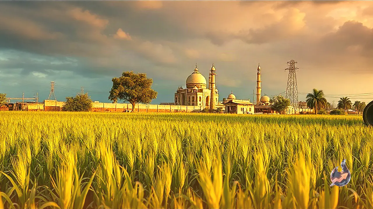 Agricultural Scientist Outlines Balanced Fertilizer Routine to Maximize Paddy Yield in Palamu