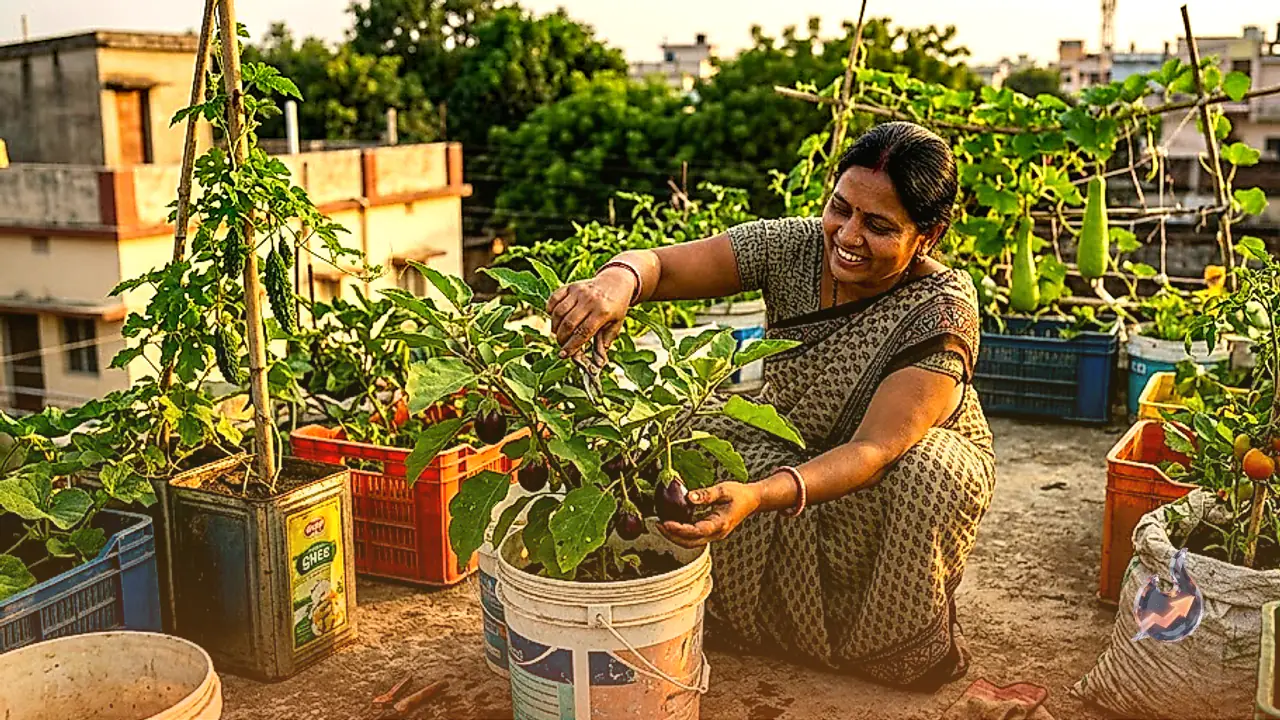 A Palamu Homemaker Turned Junk Buckets Into a Rooftop Farm That Feeds Her Whole Family