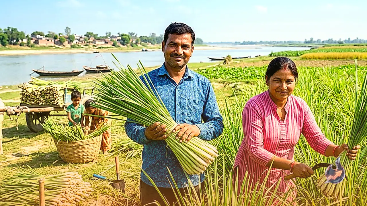 Lemongrass farming along the Ramganga is turning Moradabad's farmers into steady earners