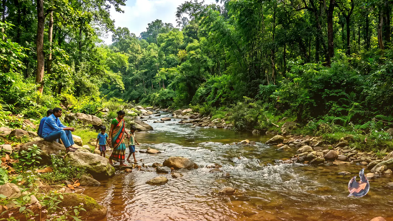 Just 30 km From Ranchi, the Hidden 'Gunga Nala' Flows Through Dense Forest and Looks Straight Out of Kashmir's Pahalgam