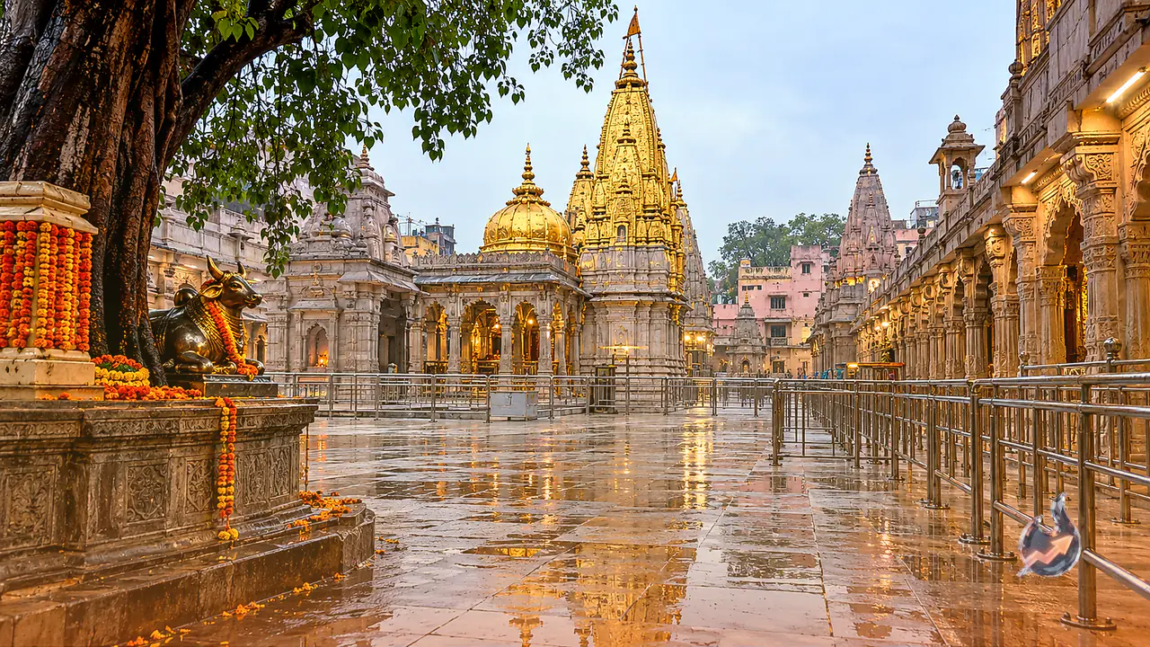 सावन 2025: काशी विश्वनाथ धाम में उमड़े शिवभक्त, तीन किलोमीटर लंबी कतार और पुष्पवर्षा के बीच गूंजे जयकारे