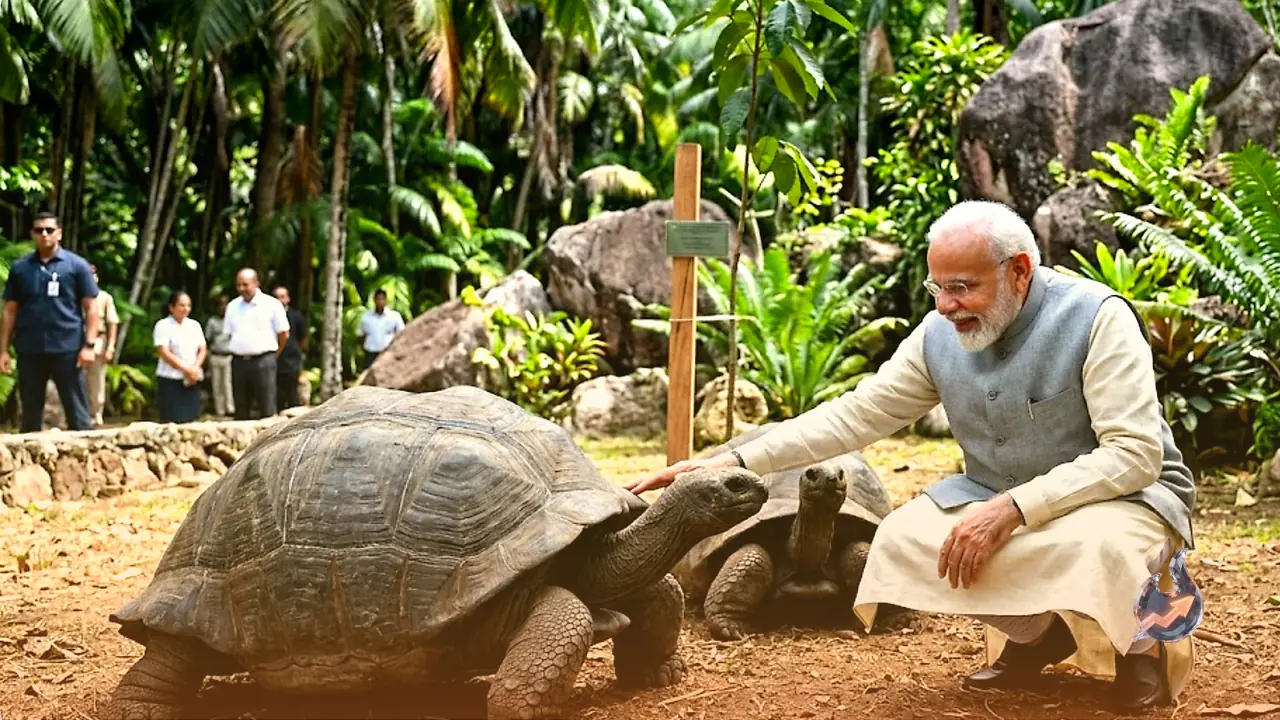 Narendra Modi spends time with Giant Tortoises during Seychelles visit