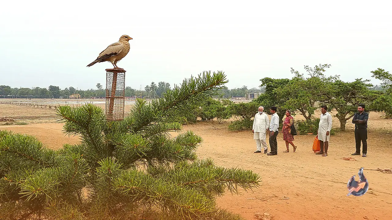 Telangana Congress Leaders Face FIR After Indian Roller Bird Placed in Cage During Dussehra Event