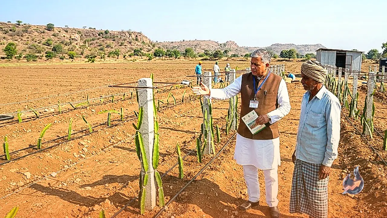 Uttar Pradesh Set to Build Its First Dragon Fruit Center of Excellence in Mirzapur at Cost of Rs 15 Crore