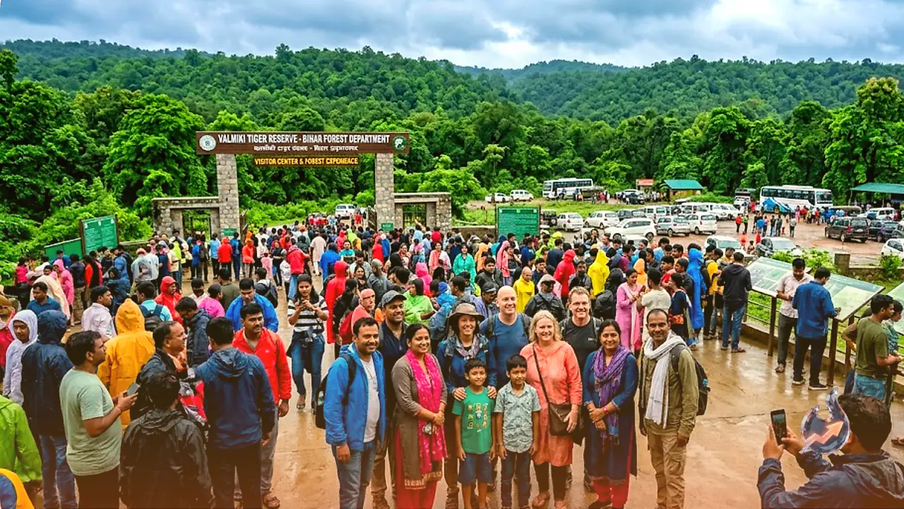 Valmiki Tiger Reserve Continues to Break Tourism Records as Popularity Surges