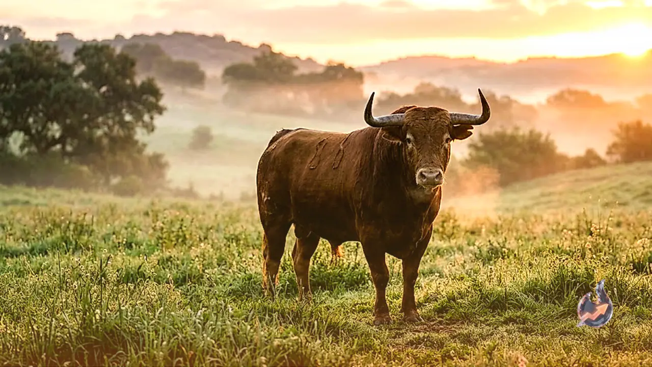 Taurus Horoscope July 19: Focus on Planning Over Big Earnings, Love and Career Look Favourable
