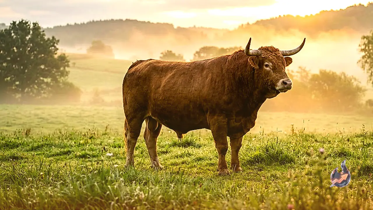 Taurus Horoscope 17 July 2026: Good Financial News Likely, Relationships Feel Warmer